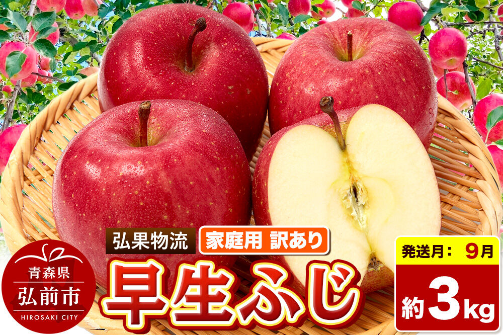 【26年9月発送】りんご 早生ふじ【訳あり】約3kg 家庭用 青森県 弘前市 [早生ふじ りんご 訳あり 家庭用 アップル おいしい 果実 果物 詰め合わせ 詰合 赤色 美味 林檎]
