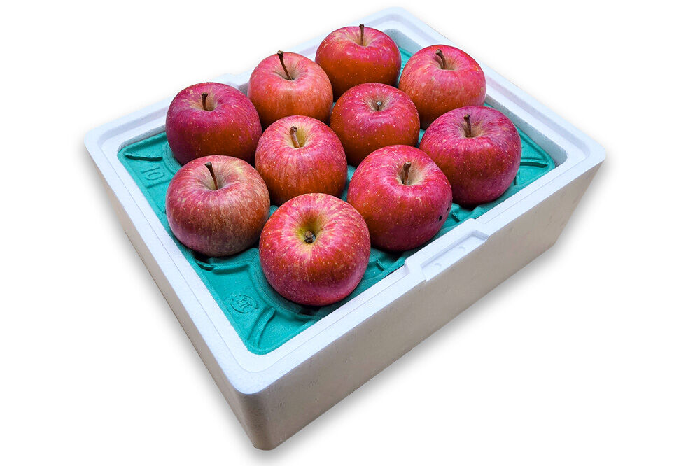 【26年5月クール便発送】りんご ふじ【訳あり】約3kg【CA貯蔵】キタエアップル [不揃い 規格外 アップル 産地直送 青森県 弘前市 詰め合わせ セット 果物 フルーツ 林檎 リンゴ くだもの]