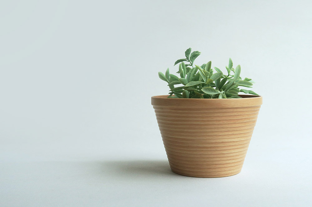 BUNACO 繝ゥ繧ヲ繝ウ繝峨懊ャ繧ッ繧ケシ医Λ繧、繝医ヶ繝ゥ繧ヲ繝ウシ1蛟