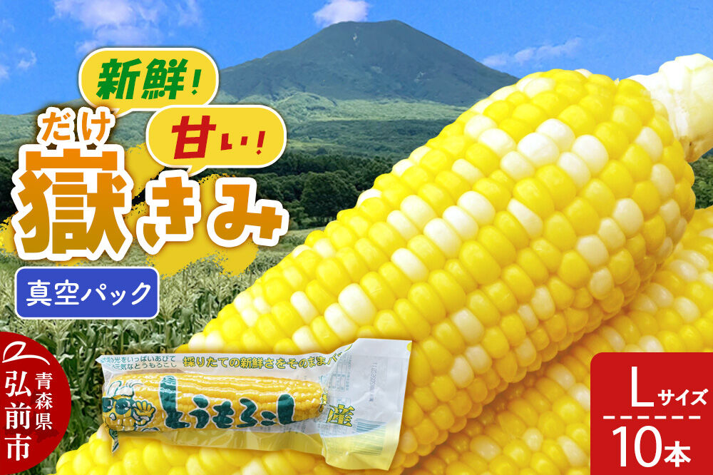 【26年10月中旬〜発送】とうもろこし 嶽きみ真空パック Lサイズ 10本 しらかみラボ [先行予約 産地直送 嶽きみ コーン ブランド 真空パック おいしい 青森 野菜 だけきみ]