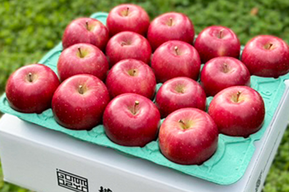 りんご 權之丞 葉とらずりんご コスモふじ 家庭用約5kg【弘前市産・青森りんご】