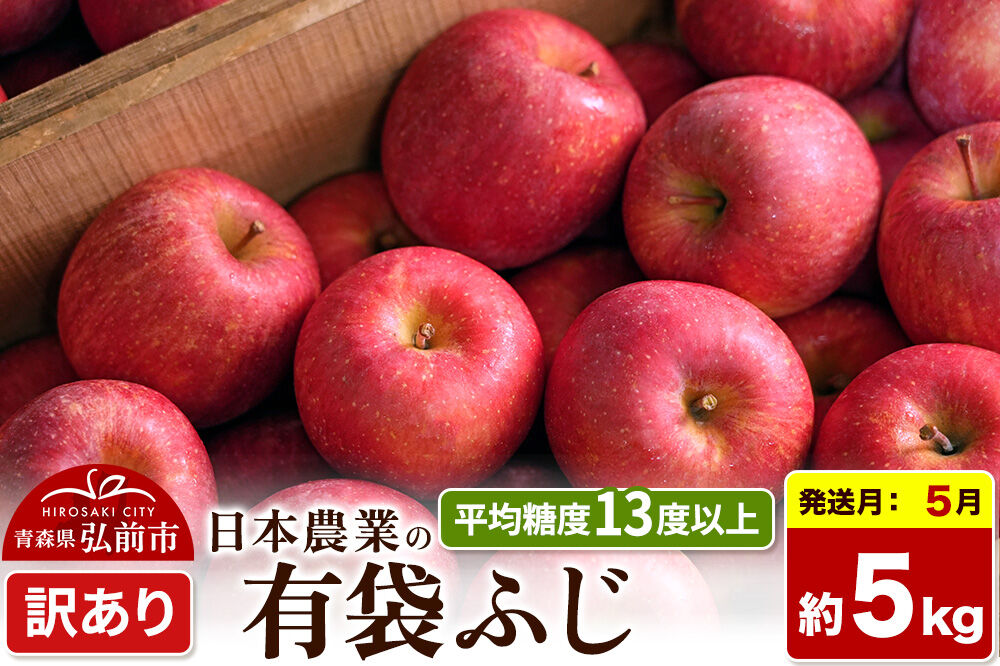 【27年5月クール便発送】りんご 有袋ふじ【訳あり】約5kg【CA貯蔵】平均糖度13度以上 クール便 青森 果物 フルーツ 林檎 リンゴ くだもの 不揃い 規格外 先行受付 [先行予約 家庭用 産地直送 アップル 青森県 弘前市]