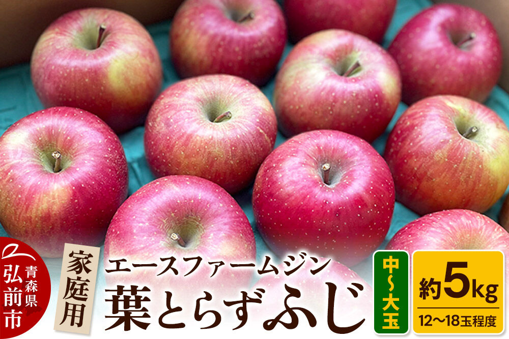 【26年11月発送】りんご【数量限定】家庭用 葉とらず ふじ 約5kg（中玉〜大玉12〜18玉程度）【先行受付】 青森 果物 フルーツ 林檎 リンゴ くだもの 予約 [アップル おいしい はとらず ふじ りんご 果実 果物 取ら 赤色 美味 葉っぱ 葉とらず 林檎]