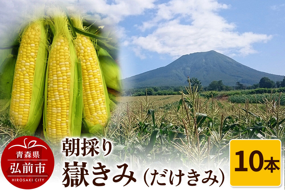 【26年8月発送】とうもろこし 朝採り 嶽きみ（だけきみ）10本 [おいしい コーン だけきみ とうもろこし ブランド もろこし 青森 美味 嶽きみ]