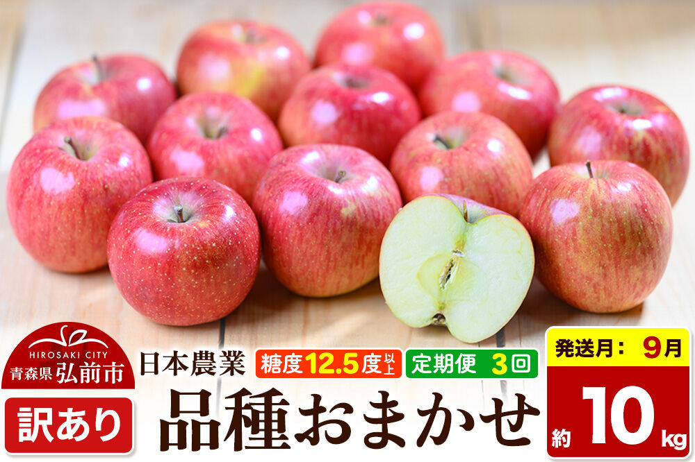 【26年9月〜発送】《定期便3ヶ月》りんご 品種おまかせ【訳あり】約10kg 平均糖度12.5度以上【9〜11月】3回分 青森 果物 フルーツ 林檎 リンゴ くだもの 不揃い 規格外 [家庭用 産地直送 アップル 青森県 弘前市]