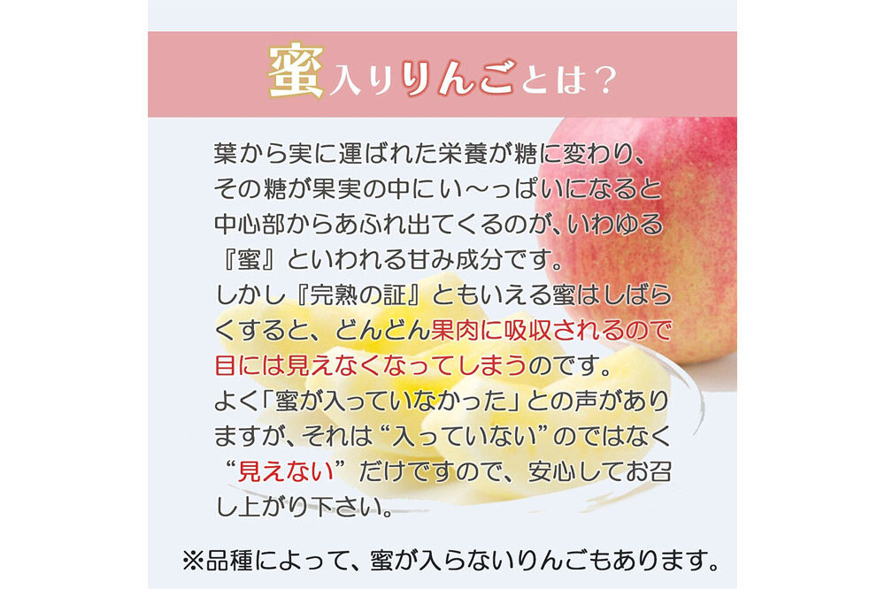 【26年10月中旬〜発送】りんご 弘前ふじ【贈答用】約3kg 内のし付き 青森県 弘前市 [先行予約 アップル おいしい ふじ りんご 果実 果物 赤色 津軽 糖度 美味 林檎]