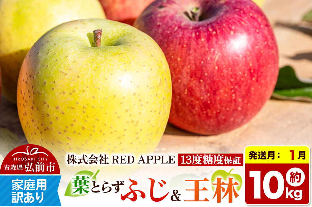 【27年1月発送】りんご 13度糖度保証【訳あり】家庭用 葉とらずふじ＆王林 約10kg 先行受付 [アップル おいしい ふじ りんご 王林 黄色 果実 果物 赤色 糖度 美味 葉っぱ 葉とらず 林檎]