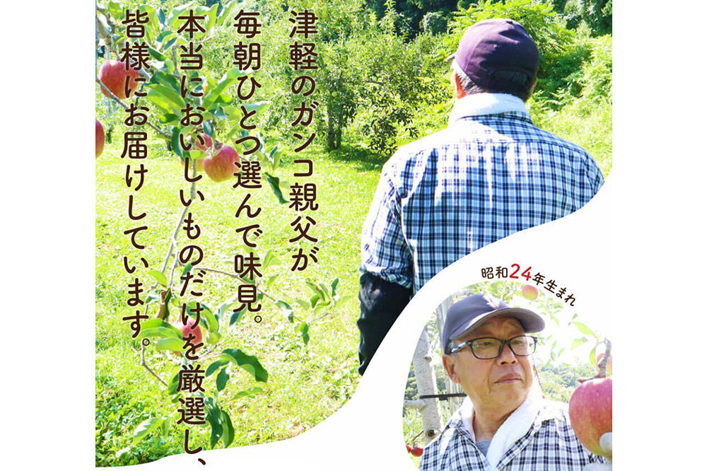 【26年10月中旬〜発送】りんご 弘前ふじ【贈答用】約5kg 内のし付き 青森県 弘前市 [先行予約 アップル おいしい ふじ りんご 果実 果物 赤色 津軽 糖度 美味 林檎]