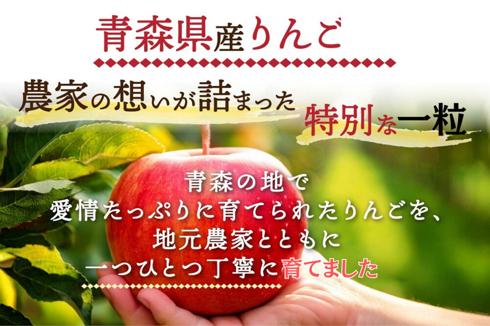【2月発送 訳あり ご家庭用】りんご サンふじ 5kg ふじりんご 青森県産 青森 果物 フルーツ 林檎 リンゴ くだもの 弘前市