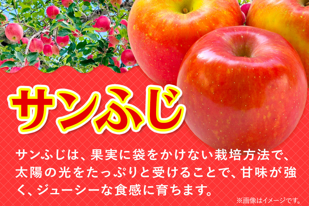 【寄附金額見直しました】【26年3月発送】りんご 贈答用 サンふじ 約3kg 林檎 リンゴ 果物 くだもの フルーツ 青森