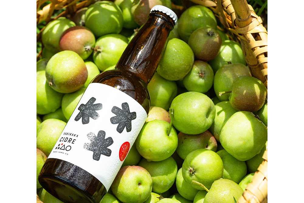 未来を育てるりんごのお酒 テキカカシードル （シードル、ライチ）各330ml×3本 計6本 お酒 青森 弘前 林檎 リンゴ