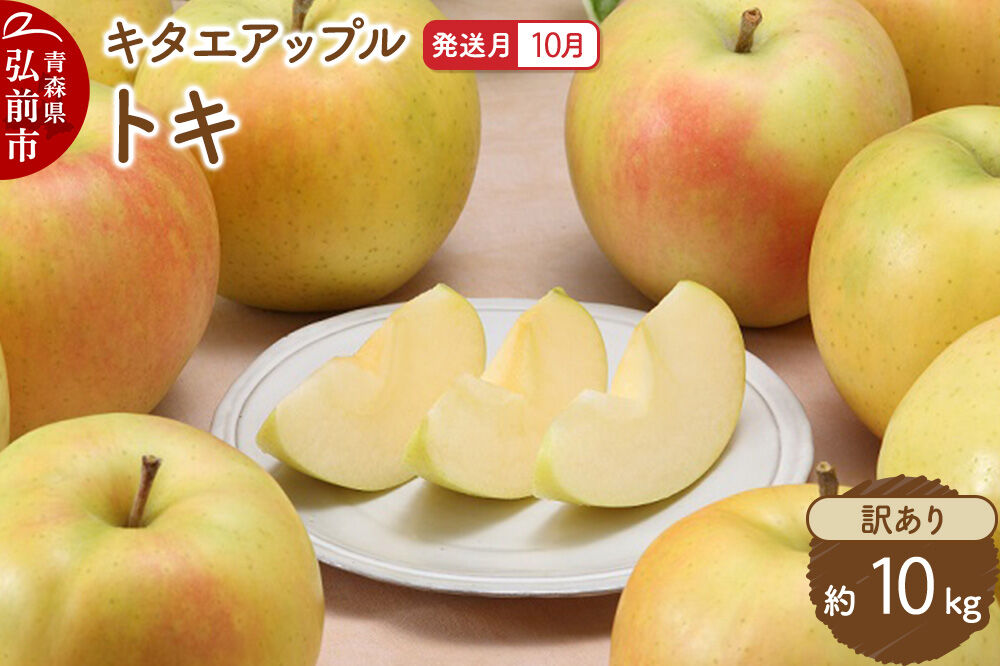 【26年10月発送】りんご トキ【訳あり】約10kg キタエアップル 青森県 弘前市 [先行予約 トキ りんご 訳あり 家庭用 アップル おいしい 果実 果物 黄色 美味 林檎]