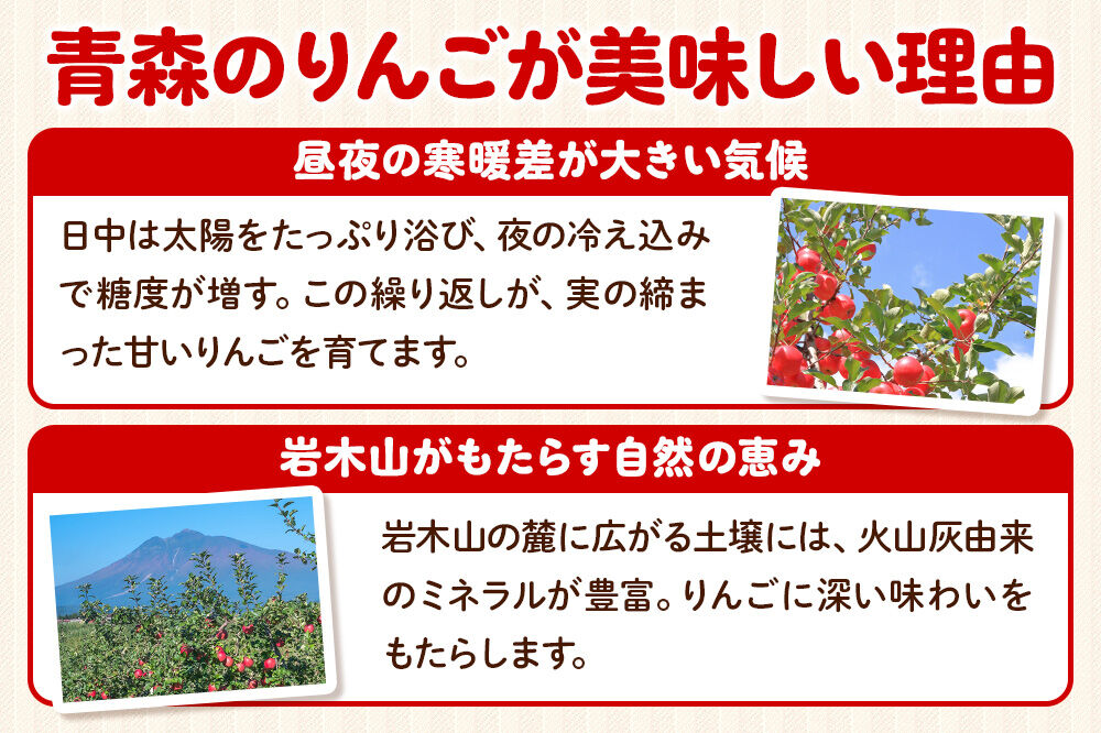 【26年12月発送】りんご サンふじ【秀品】約5kg 糖度13度以上 先行受付 青森県 弘前市 果物 フルーツ 林檎 リンゴ くだもの ギフト 贈り物 [先行予約 産地直送 アップル おいしい 果実 美味 甘い 赤色]