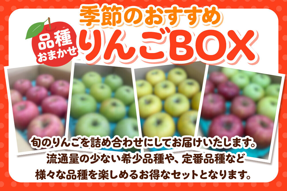 【26年9月〜発送】りんご【どんな品種が届くかお楽しみ】季節のおすすめりんごBOX【家庭用】約5kg 詰め合わせ 青森県 弘前市 果物 フルーツ 林檎 リンゴ くだもの 不揃い 規格外 [産地直送 アップル おいしい 果実 美味 甘い]