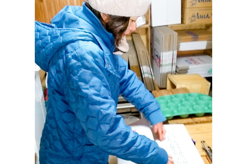 りんご 王林【訳あり】10kg しらかみラボ