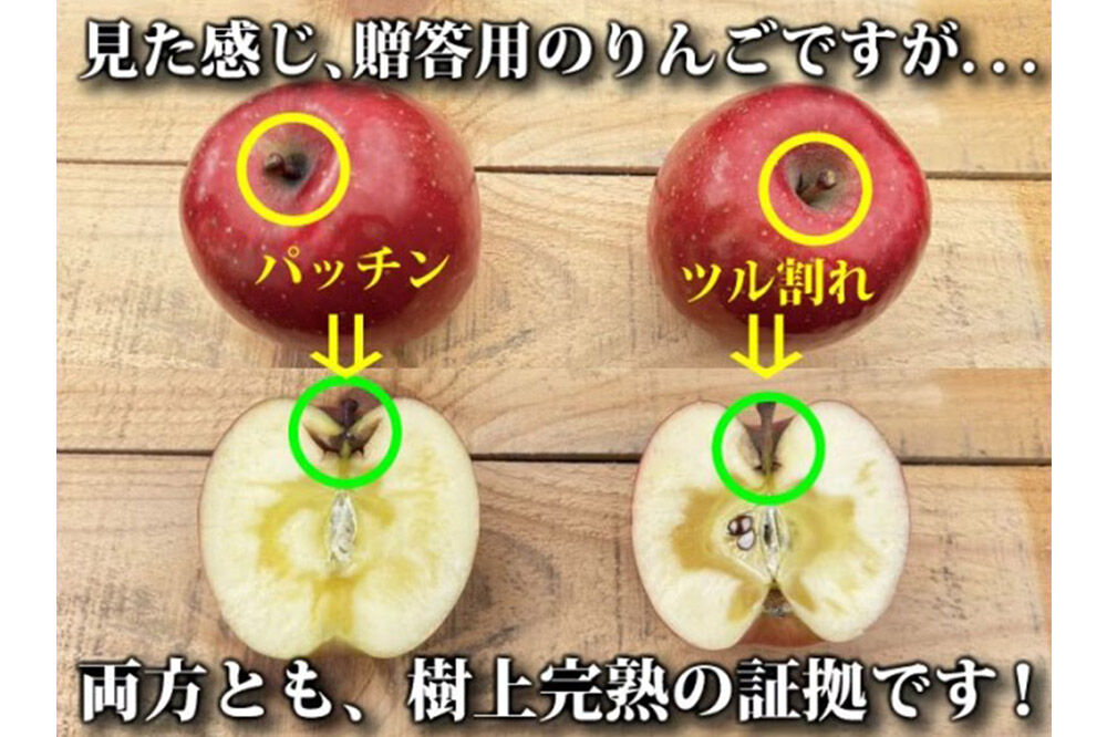 りんご ふじ 約10kg（24玉〜48玉程度）樹上完熟葉とらず【家庭用】厳選品 青森県産 りんご