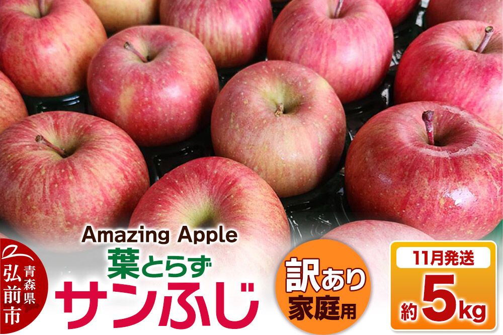 【26年11月下旬発送】りんご 葉とらずサンふじ【訳あり】家庭用 約5kg [りんご サンふじ 葉とらず ふじ 訳あり 家庭用 5kg アップル おいしい 果実 果物 取ら 赤色 美味 葉っぱ 林檎 青森県 弘前市]