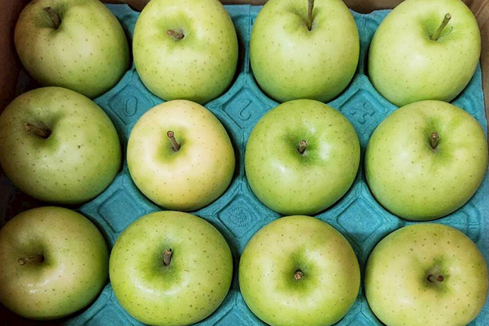 【寄附金額見直しました】【26年8月下旬〜9月発送】りんご 黄王【訳あり】家庭用 約5kg [青森産 りんご 黄王 きおう アップル 林檎 リンゴ 果物 果実 美味 青森県 弘前市]