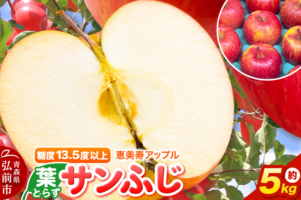りんご 【糖度13.5度以上】サンふじ 約5kg 葉とらず 青森県 フルーツ 果物