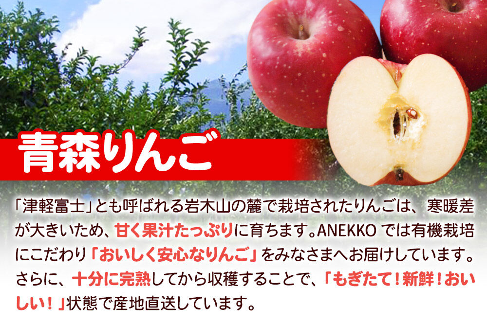 ANEKKO オリジナル パウチ ドレッシング（嶽きみ100ml×2本・りんご100ml×2本）計4本 [アップル おいしい コーン だけきみ とうもろこし ドレッシング ブランド もろこし りんご 果実 果物 食品 青森 調味料 美味 林檎 嶽きみ]