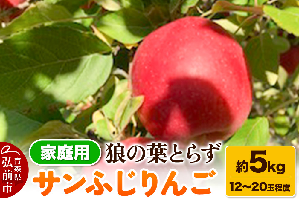 【25年12月〜発送】りんご サンふじりんご 狼の葉とらず 約5kg（12玉〜20玉程度）家庭用【訳あり】