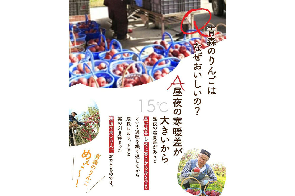 【26年12月下旬〜発送】りんご サンふじ【贈答用】約5kg 青森県 弘前市 [先行予約 アップル おいしい ふじ りんご 果実 果物 赤色 津軽 糖度 美味 林檎]