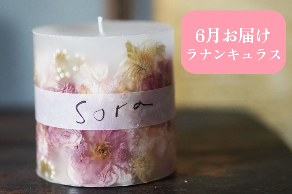 《定期便全4回》配送月固定 ボタニカル キャンドル  全4個（1個×4回お届け）【3ヶ月に1回お届け 3月 6月 9月 12月】