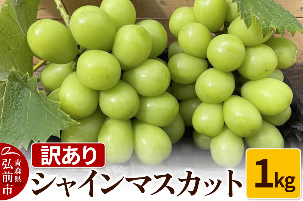 【26年9月〜発送】【訳あり】 シャインマスカット1kg ぶどう フルーツ 果物 ブドウ 葡萄 グレープ くだもの 産地直送