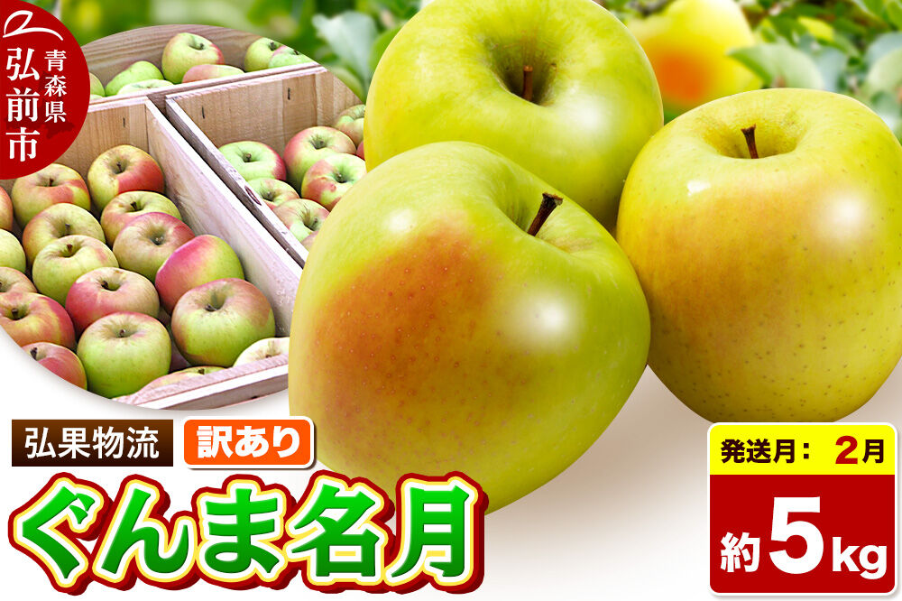 【27年2月発送】りんご ぐんま名月【訳あり】約5kg 先行受付 家庭用 青森県 弘前市 果物 フルーツ 林檎 リンゴ くだもの 不揃い 規格外 [先行予約 産地直送 アップル おいしい 果実 美味 甘い 黄色]