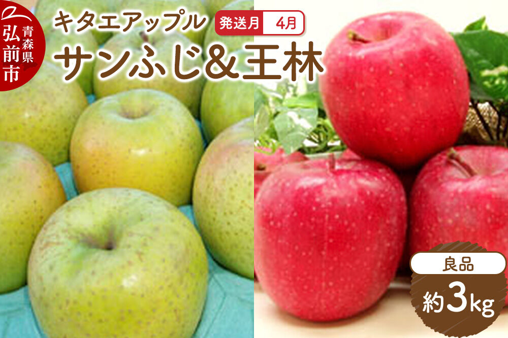 【26年4月クール便発送】りんご サンふじ･王林【良品】約3kg【CA貯蔵】キタエアップル [贈答 贈り物 アップル 産地直送 青森県 弘前市 詰め合わせ セット 果物 フルーツ 林檎 リンゴ くだもの]
