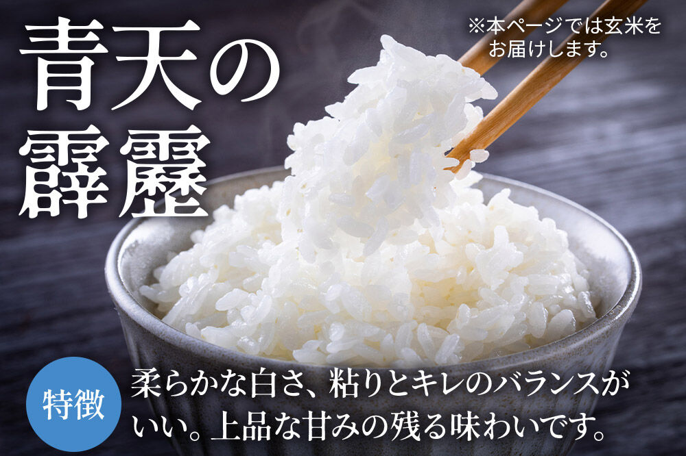 米 青天の霹靂 玄米 10kg（5kg×2袋）令和7年産 青森県弘前市産 [10キロ 5キロ 小分け 青天の霹靂 玄米 ブランド米 青森県 弘前市産]