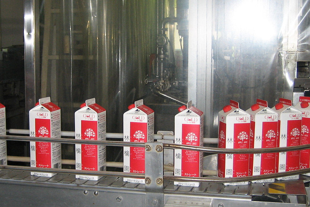 【寄附金額見直しました】りんごジュース ストレート果汁【林檎園】1000ml×6本 紙パック ゴールド農園 かめあし商店 [りんごジュース ストレートジュース 完熟 リンゴ 林檎 紙パック ゴールド農園 かめあし商店 青森県産 弘前市]