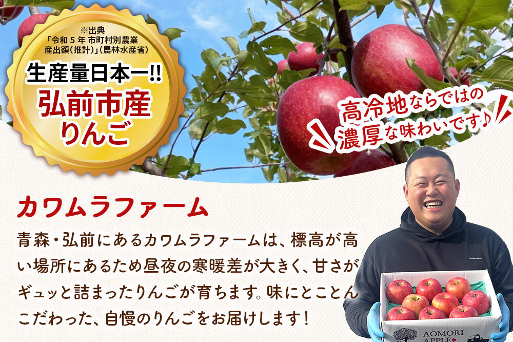 【26年10月下旬〜発送】りんご 千雪 約10kg カワムラファーム【贈答用】青森 果物 フルーツ 林檎 リンゴ くだもの [先行受付 アップル おいしい ちゆき お歳暮 お中元 ギフト プレゼント 果実 果物 赤色 贈り物 美味 林檎 弘前市]
