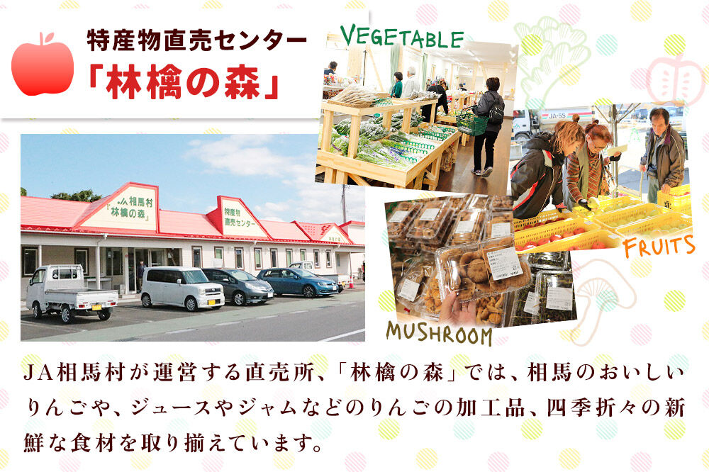 【27年3月クール便発送】りんご サンふじ【訳あり】約10kg（32〜46玉程度） [サンふじ りんご 10キロ アップル おいしい 果実 果物 赤色 美味 林檎]