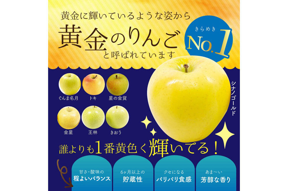 【26年10月下旬〜発送】りんご シナノゴールド【贈答用】約3kg 青森県 弘前市 [先行予約 アップル おいしい ふじ りんご 果実 果物 黄色 津軽 糖度 美味 林檎]