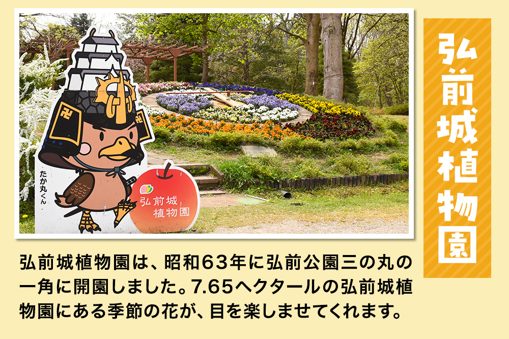 3施設共通通年券と博物館招待券 弘前城（本丸・北の郭）・弘前城植物園・藤田記念庭園 【チケット 入場券 優待券】