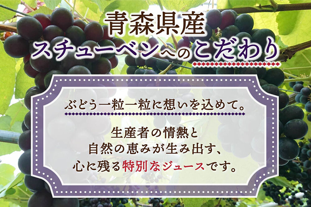 ぶどうジュース 紙パック 1L×12本入り 無添加 ストレート果汁100％ スチューベンジュース 青森県産 弘前市 [おいしい グレープ ジュース ストレート ぶどう ぶどうジュース フルーツ フルーツジュース 飲料 果実 果汁 果汁100％ 果物 県産 青森 青森県産 美味 葡萄 弘前市]
