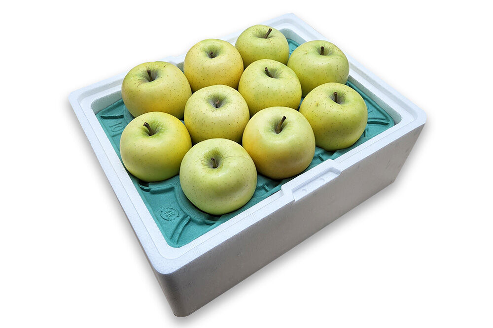 【27年1月発送】りんご シナノゴールド【良品】約5kg キタエアップル 青森県 弘前市 [先行予約 シナノゴールド りんご 贈り物 アップル おいしい 果実 果物 黄色 美味 林檎]