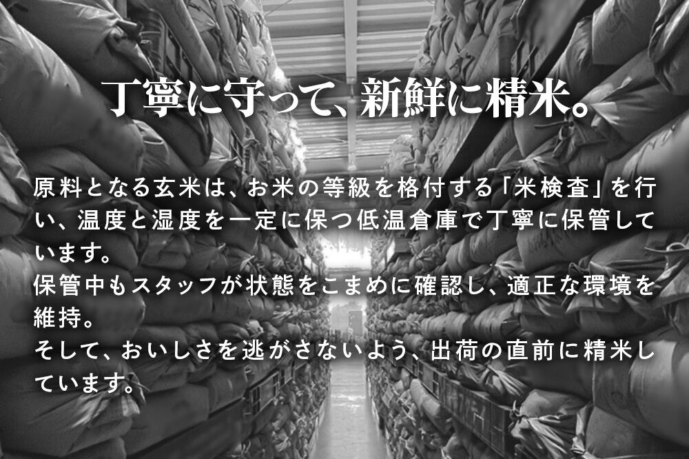 《定期便5ヶ月》 米 令和7年産 青森県産 はれわたり【精米】10kg（5kg×2袋）