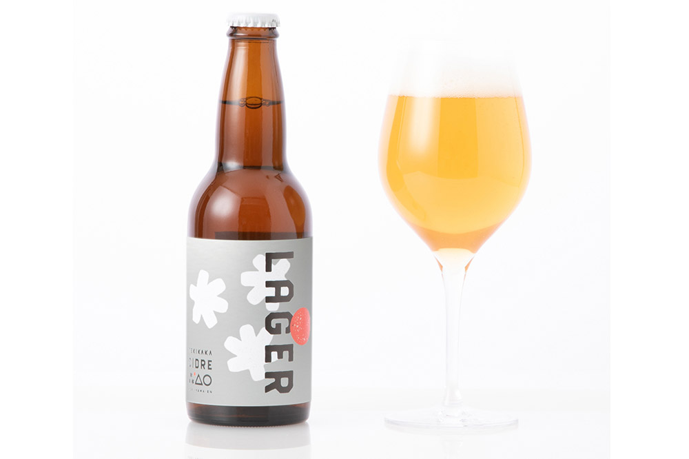 廃棄されてきたりんごを活用した テキカカシードル（シードル×2 、ライチ×2、こうとく×1、ラガー×1） 各330ml 計6本 お酒 青森 弘前 林檎 リンゴ