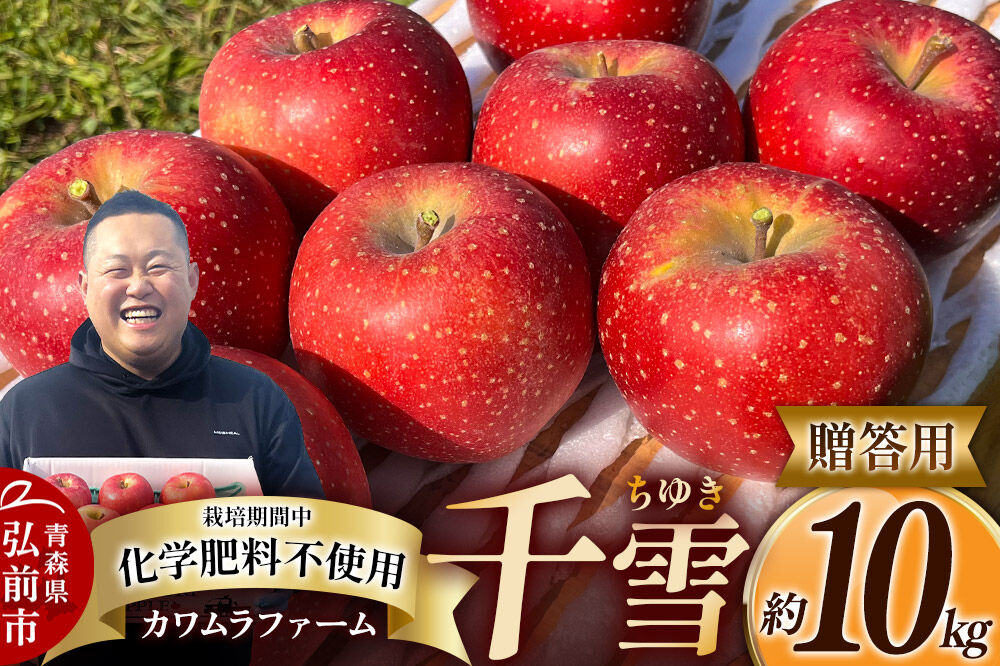 【寄附金額見直しました】【26年10月下旬〜発送】りんご 千雪 約10kg カワムラファーム【贈答用】青森 果物 フルーツ 林檎 リンゴ くだもの [先行受付 アップル おいしい ちゆき お歳暮 お中元 ギフト プレゼント 果実 果物 赤色 贈り物 美味 林檎 弘前市]