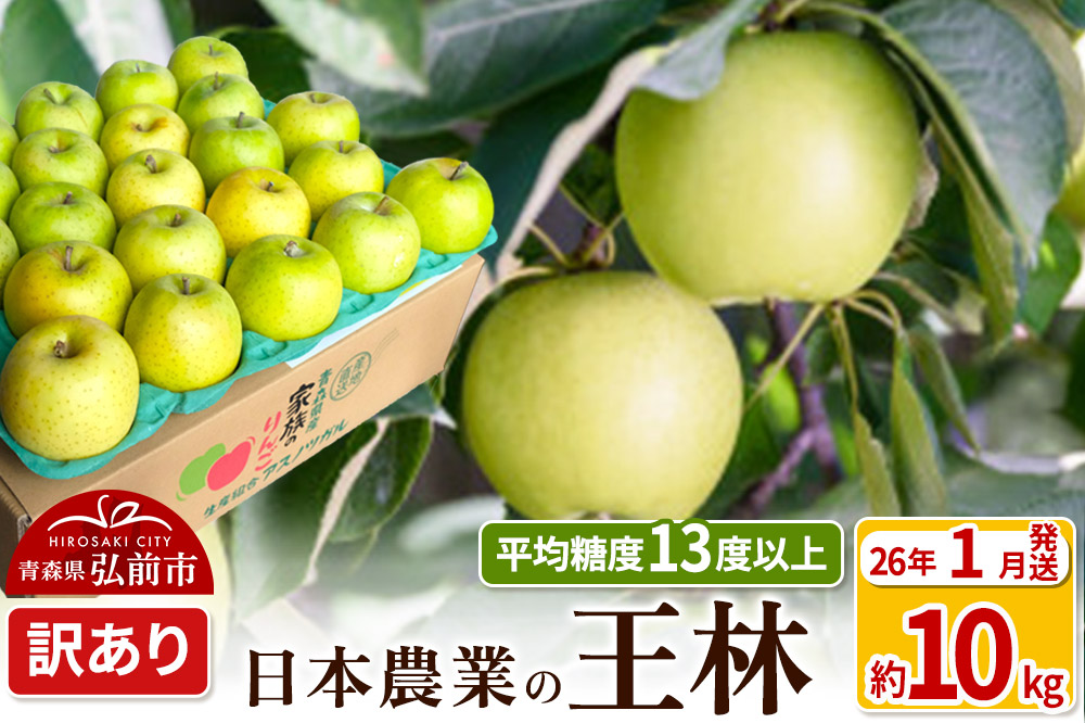 【26年1月発送】りんご 平均糖度13度以上！ 王林 約10kg 訳あり 青森 果物 フルーツ 林檎 リンゴ くだもの 不揃い 規格外