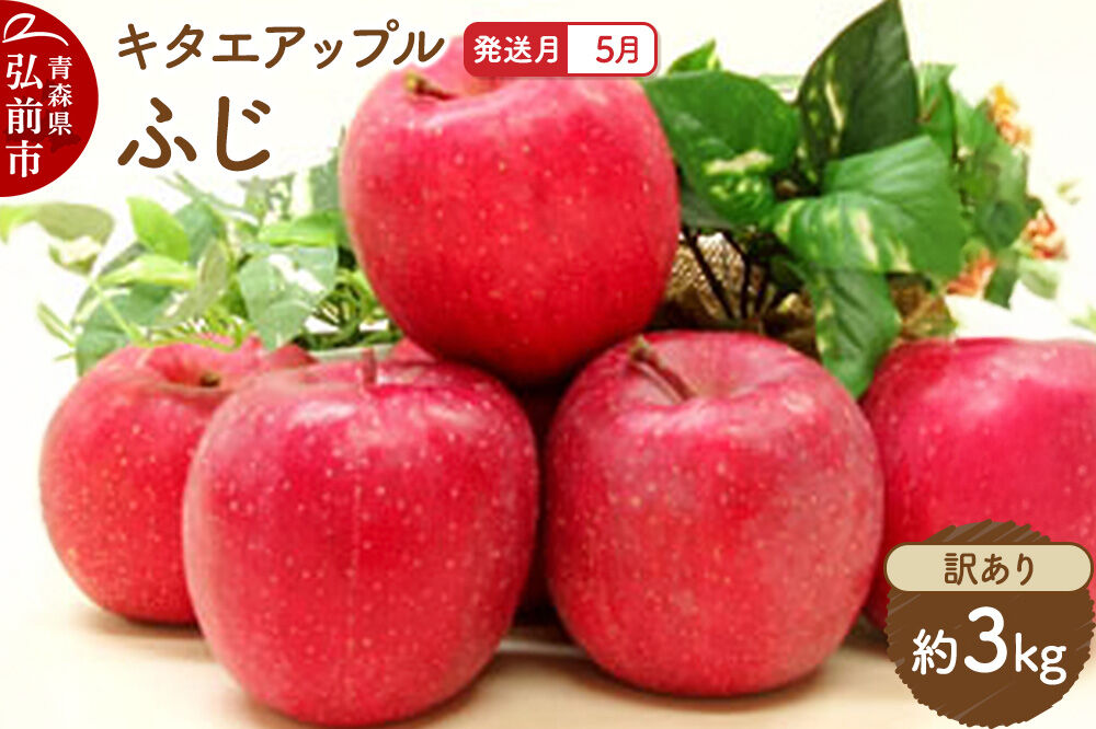 【26年5月クール便発送】りんご ふじ【訳あり】約3kg【CA貯蔵】キタエアップル [不揃い 規格外 アップル 産地直送 青森県 弘前市 詰め合わせ セット 果物 フルーツ 林檎 リンゴ くだもの]