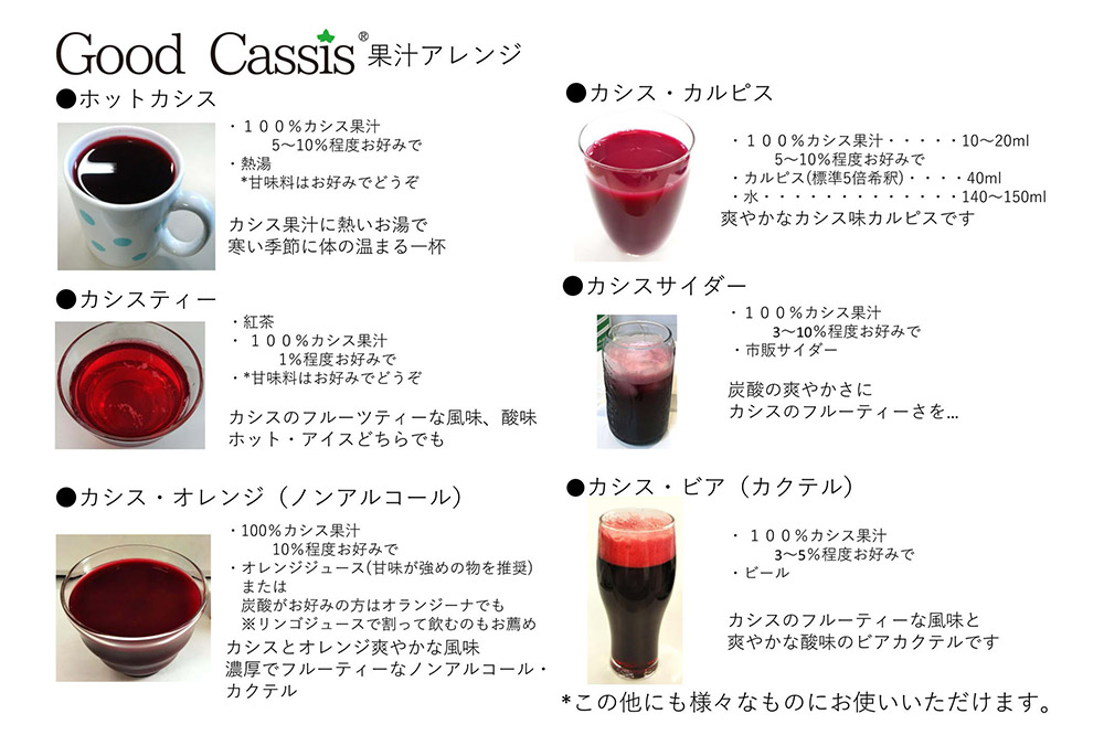 【25年10月〜発送】カシス果汁100％ジュース Good Cassis Gift 380g×2本 [おいしい ジュース フルーツジュース 飲料 果汁 果汁100％ 果物 美味]