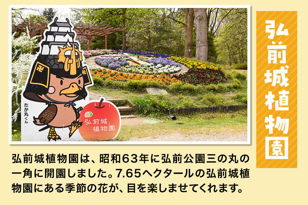 3施設共通通年券と博物館招待券 弘前城（本丸・北の郭）・弘前城植物園・藤田記念庭園 【チケット 入場券 優待券】 [アクティビティ ひろさき 弘前 弘前城 高岡城 城 青森 体験 体験型 鷹岡城 着地 着地型]