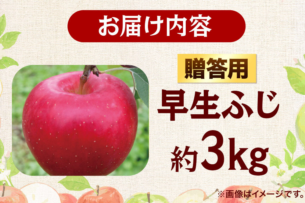 【26年9月発送】りんご 早生ふじ【贈答用】約3kg 青森県 弘前市 [早生ふじ りんご 贈り物 贈答用 お歳暮 お中元 ギフト 3キロ アップル おいしい 果実 果物 詰め合わせ セット 赤色 美味]