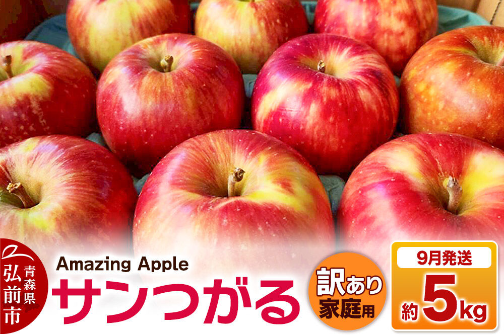 【寄附金額見直しました】【26年9月発送】りんご サンつがる【訳あり】家庭用 約5kg [青森産 りんご サンつがる アップル 林檎 リンゴ 果物 果実 美味 青森県 弘前市]