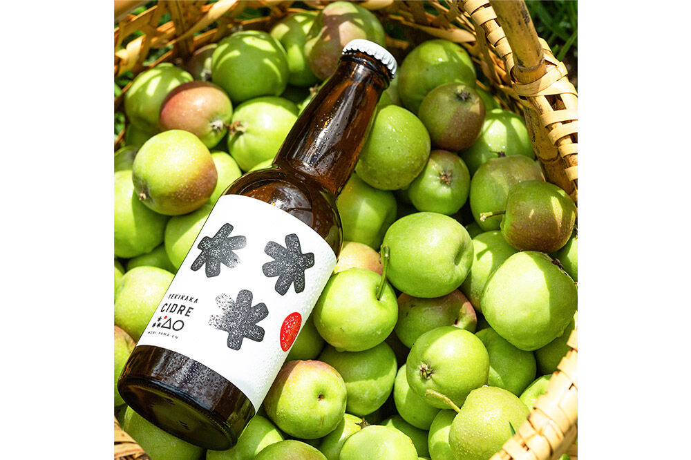 未来を育てるりんごのお酒 テキカカシードル 330ml×24本 お酒 青森 弘前 林檎 リンゴ [もりやま園 シードル スパークリングワイン りんご りんご酒 果実 果物 酒 発泡ワイン 美味 林檎 林檎酒 アップル おいしい]