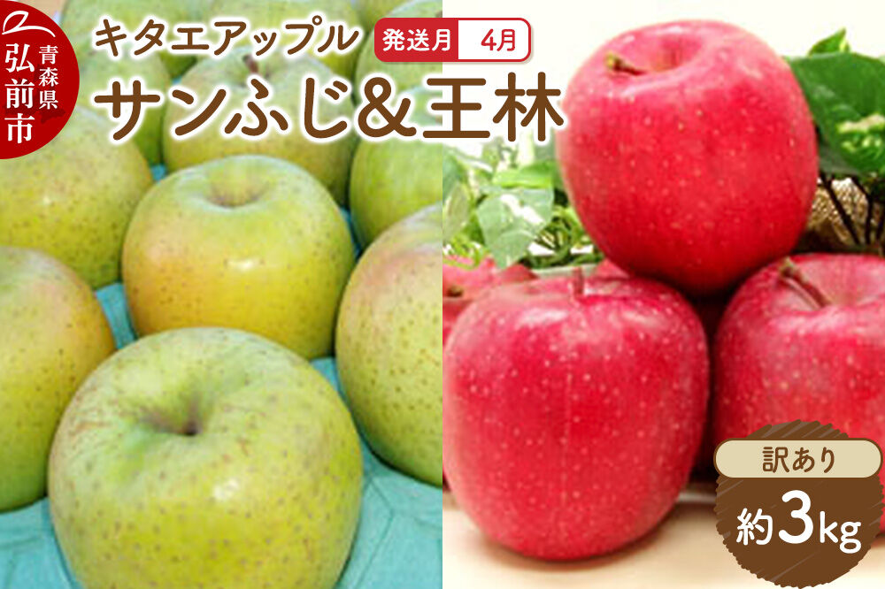 【26年4月クール便発送】りんご サンふじ･王林【訳あり】約3kg【CA貯蔵】キタエアップル [不揃い 規格外 アップル 産地直送 青森県 弘前市 詰め合わせ セット 果物 フルーツ 林檎 リンゴ くだもの]