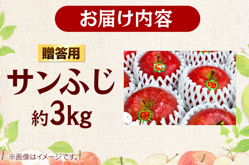 【26年12月発送】りんご サンふじ【贈答用】約3kg 糖度13度以上 青森県 弘前市 先行受付 [先行予約 アップル おいしい お歳暮 お中元 ギフト ふじ プレゼント りんご 果実 果物 赤色 贈り物 贈答用 美味 林檎]